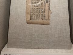 -敦煌石窟文物保护研究陈列中心