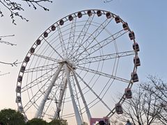 -自然谷恐龙园