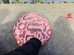 -西湖风景区十里琅珰-五云山