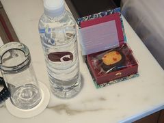 -广州白天鹅宾馆