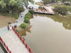 -东莞植物园