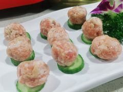 -墨脱石锅椰子鸡•香草鸭•东山羊(大东海店)