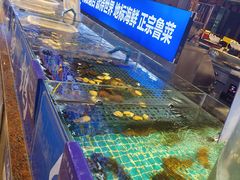 -鱼满舱·鲜活海鲜·正宗鲁菜