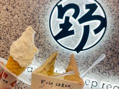 -野人先生Gelato(上海长宁龙之梦店)