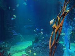 -沈阳海洋探索中心