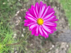 -河南大学(龙子湖校区)