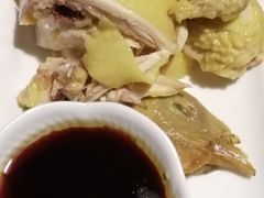 -四季春