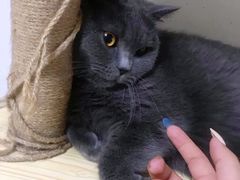 大同刀削面-晋B2008刀削面(小南庄店)