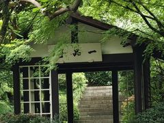 -中国茶叶博物馆(双峰馆区)