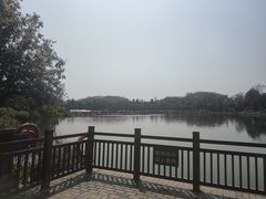 -枫香湖儿童公园