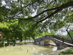-江心屿景区