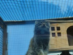 -青藏高原野生动物园