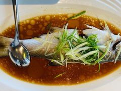 清蒸马友鱼-小南洋海景餐厅(深圳湾店)