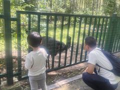 -绥化市森林植物园