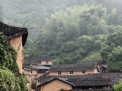 -杨家堂村