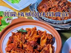 -兴隆槟榔园休闲农庄