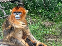 -哈尔滨北方森林动物园