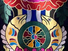 -金鼎雪山牦牛杂火锅(理县总店)