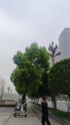 -华辰国际大酒店·宴会厅