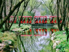 -上海共青森林公园