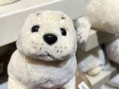 -珠海长隆海洋王国