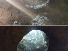 -珠海长隆海洋王国