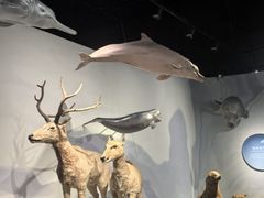 -中国湿地博物馆