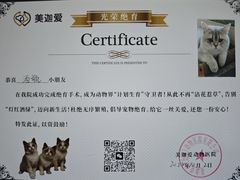 -美迦爱-牙专科·兔科·骨科诊疗中心(北苑店)