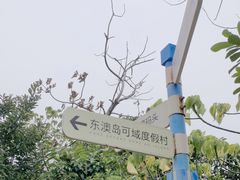 -东澳岛