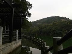 -白马涧龙池景区
