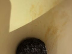 -CoCo都可(医学街店)