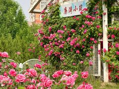 -太阳宫公园