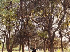 -白塘生态植物园