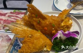 Salted Pepper Shark Fin