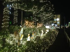 -别府杉乃井酒店