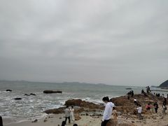 -杨梅坑