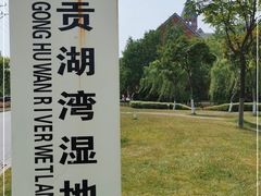 -贡湖湾湿地公园