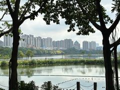 -南宁南湖公园