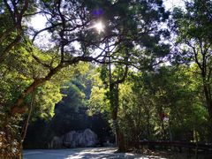 -梧桐山风景名胜区
