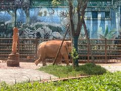 -昆明动物园