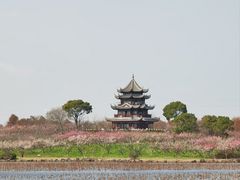 -上海海湾国家森林公园