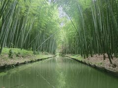 -同里国家湿地公园