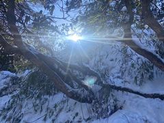 -瓦屋山景区