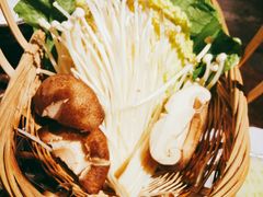 -同仁四季椰子鸡(海岸城天利店)