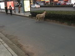 -多浪烧烤(镇江分店)