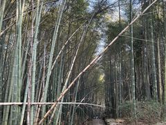 -会稽山峡洞漂流-上青古道
