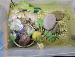 -钓虾工场·钓虾·赶海(回龙观店)