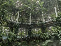 -昆明植物园