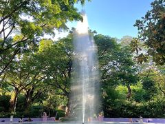-九龙公园