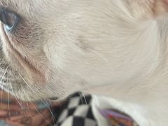 -怪兽屋·羊驼·猫咖·狗咖(俊华广场店)